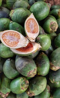 柑橘中毒事件后續(xù)處理措施全面解析及應(yīng)對(duì)方案優(yōu)化建議