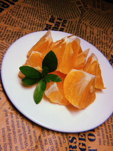 優(yōu)質(zhì)高產(chǎn)新品種柑橘樹苗廠家直供，現(xiàn)挖現(xiàn)發(fā)支持批發(fā)！