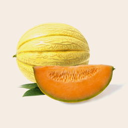 沃柑日曬果多怎么補救?果農(nóng)必學的5大實用防治技巧解析