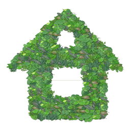 中國(guó)西部最大優(yōu)質(zhì)柑桔產(chǎn)區(qū):探秘資陽(yáng)柑桔種植基地的生態(tài)發(fā)展之路
