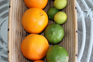 柑橘價(jià)格低迷種植戶去向何方——產(chǎn)業(yè)困局與突圍路徑探析