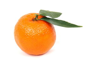 柑橘橙子功效區(qū)別詳解：營養(yǎng)對比與健康功效全解析