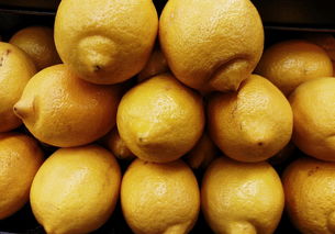 四川特大柑橘樹(shù)苗特大號(hào)：高產(chǎn)優(yōu)質(zhì)新品種助農(nóng)增收